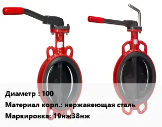 Затвор 100 19нж38нж Ру63